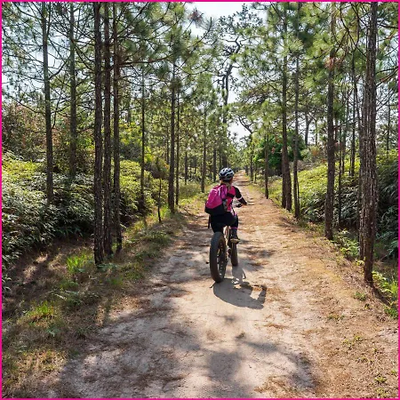 Mobilhome 2ch Climatisé-terrasse Fermée-4 Vélos-camping 4 étoiles Les Charmettes * Les Mathes